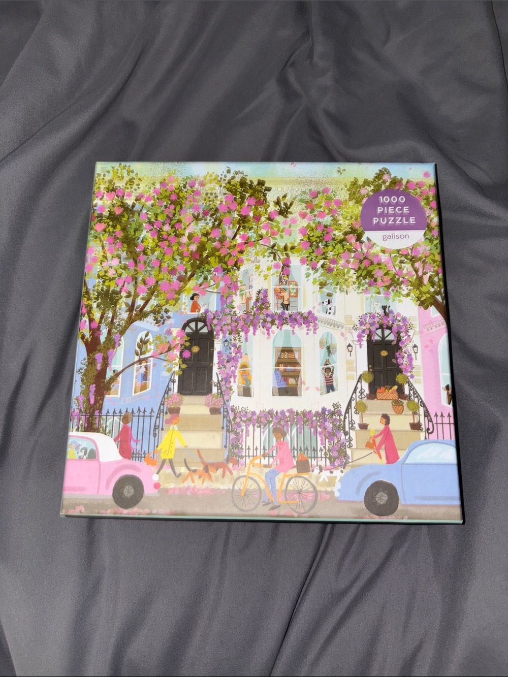 Galison puzzle